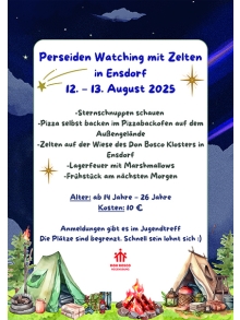 2025 -07 Perseiden watchin in Ensdorf.jpg