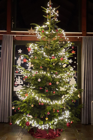 Weihnachtlich geschmückt: Christbaum im Jugendtreff des Don Bosco Zentrums Regensburg