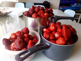 Drei Schüsseln voller Erdbeeren auf dem Esstisch der Wohngruppe Garelli